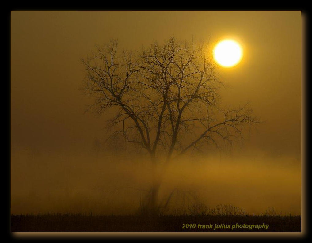misty